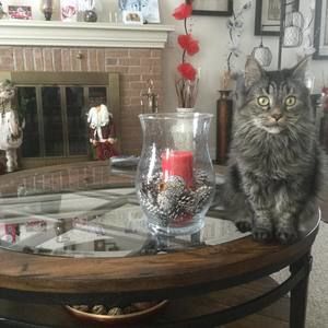 Meet your Posher, Kathy